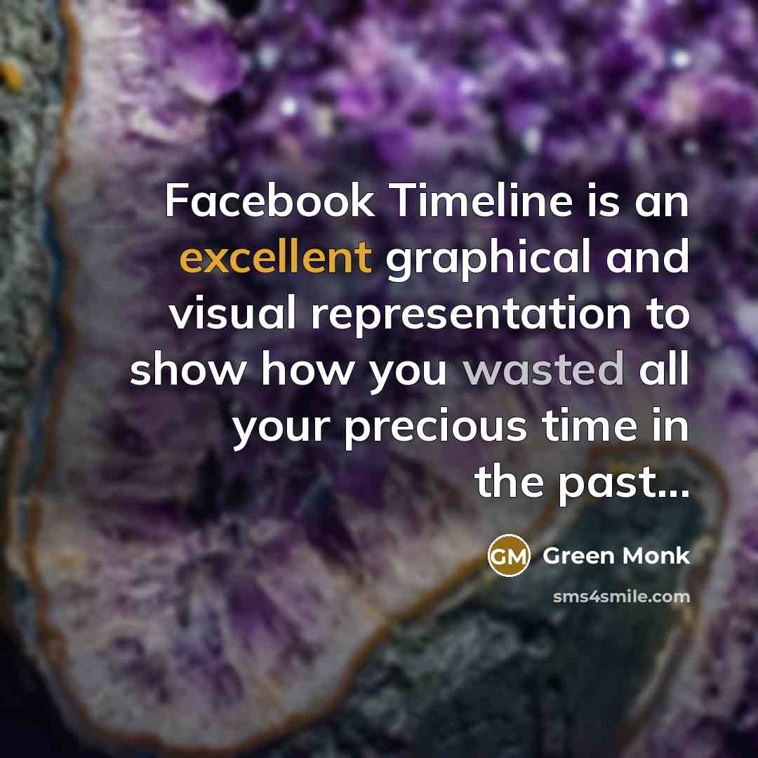 “Facebook Timeline is an excellent graphical and visual representation to show how you wasted all your precious time in the past...” quote by Green Monk