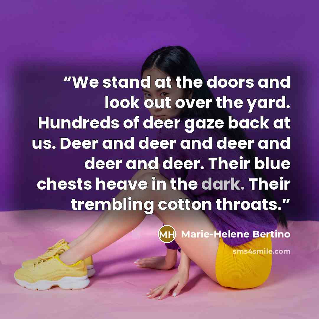 “We stand at the doors and look out over the yard. Hundreds of deer gaze back at us. Deer and deer and deer and deer and deer. Their blue chests heave in the dark. Their trembling cotton throats.” quote by Marie-Helene Bertino