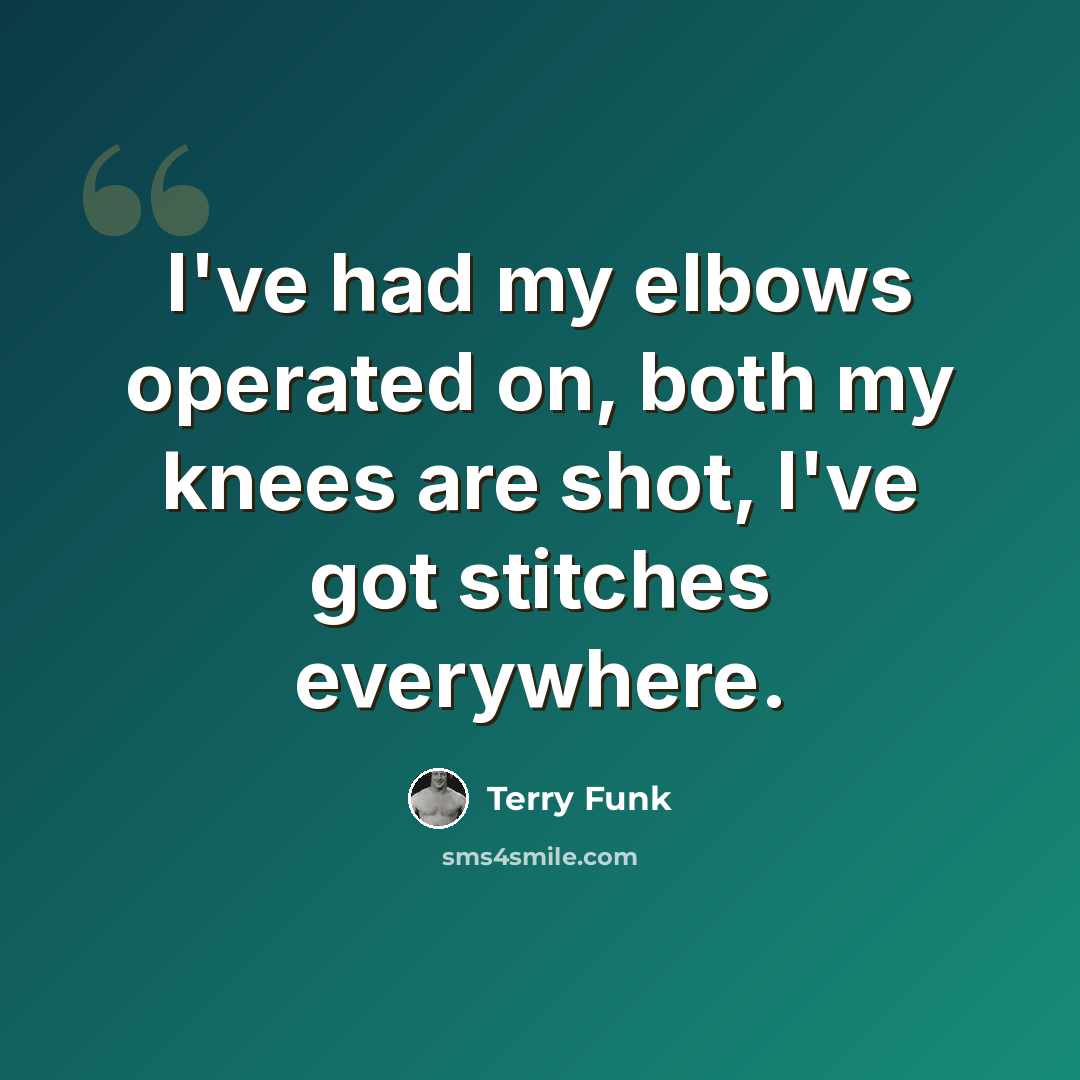 “I've had my elbows operated on, both my knees are shot, I've got stitches everywhere.” quote by Terry Funk