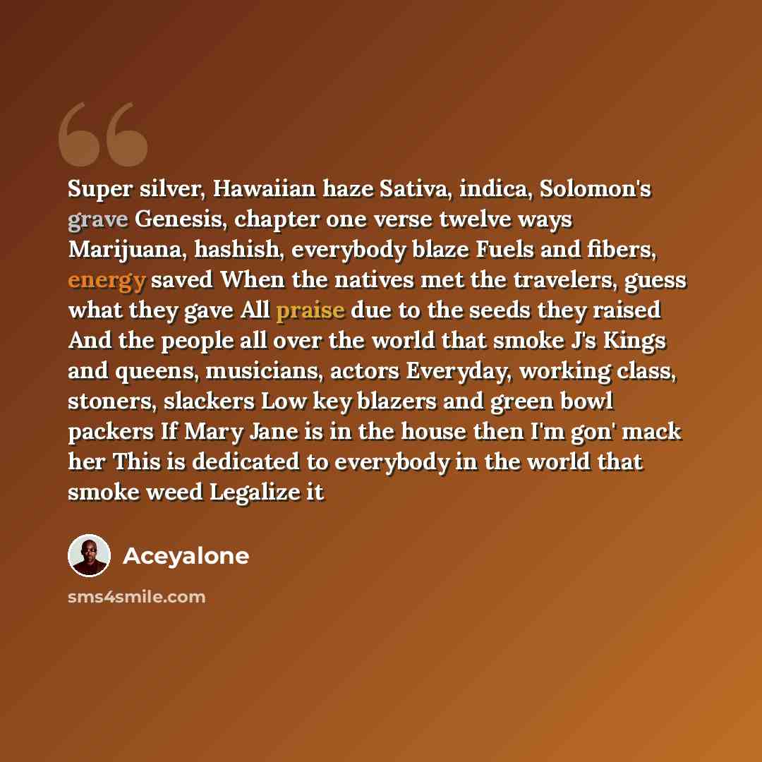 “Super silver, Hawaiian haze Sativa, indica, Solomon's grave Genesis, chapter one verse twelve ways Marijuana, hashish, everybody blaze Fuels and fibers, energy saved When the natives met the travelers, guess what they gave All praise due to the seeds they raised And the people all over the world…” quote by Aceyalone