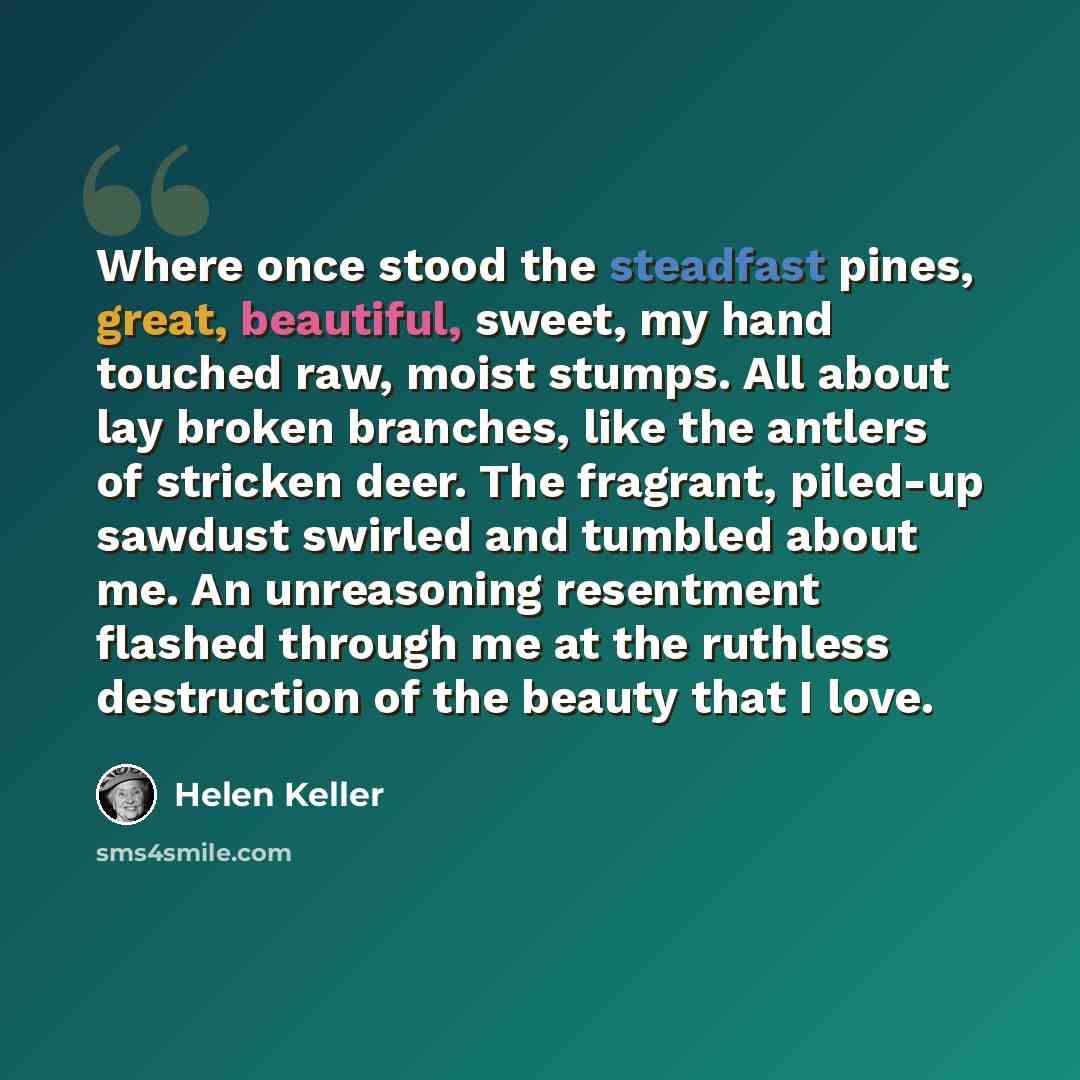 “Where once stood the steadfast pines, great, beautiful, sweet, my hand touched raw, moist stumps. All about lay broken branches, like the antlers of stricken deer. The fragrant, piled-up sawdust swirled and tumbled about me. An unreasoning resentment flashed through me at the ruthless destruction…” quote by Helen Keller