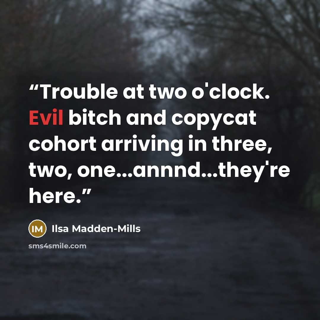“Trouble at two o'clock. Evil bitch and copycat cohort arriving in three, two, one...annnd...they're here.” quote by Ilsa Madden-Mills