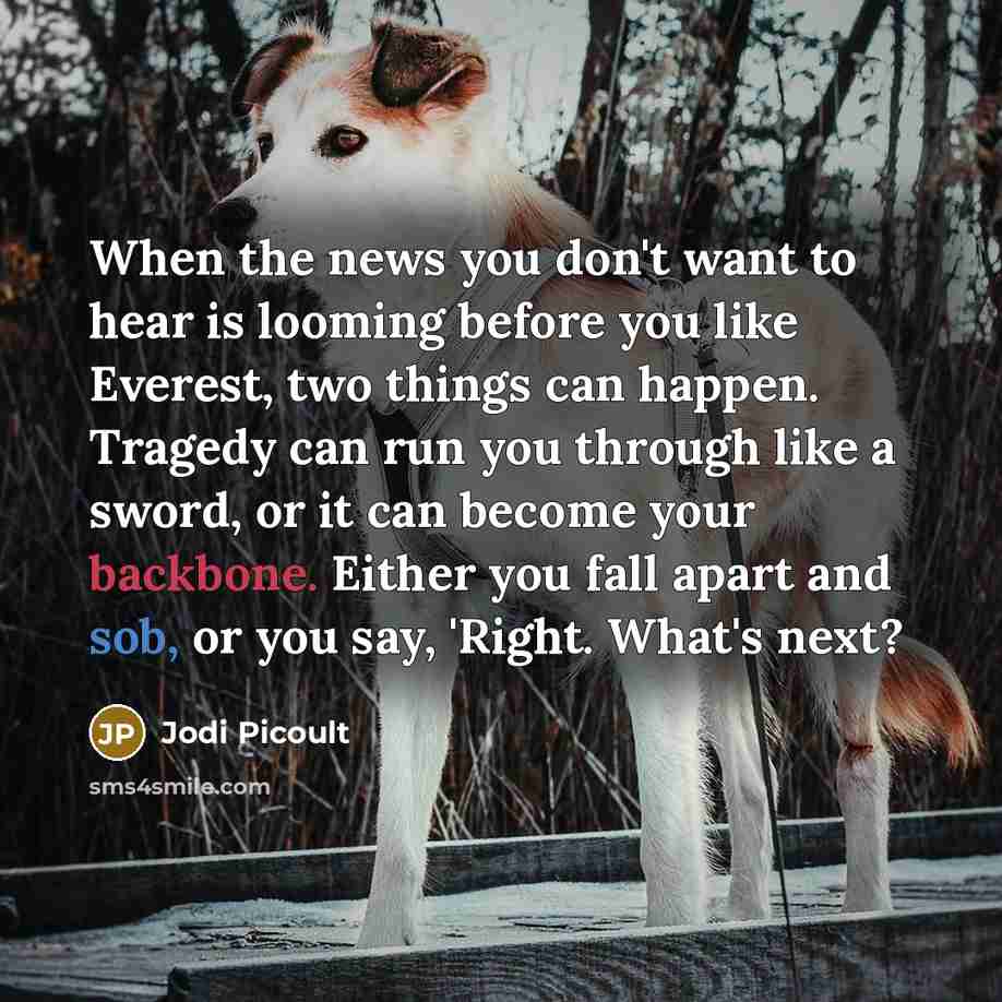 “When the news you don't want to hear is looming before you like Everest, two things can happen. Tragedy can run you through like a sword, or it can become your backbone. Either you fall apart and sob, or you say, 'Right. What's next?” quote by Jodi Picoult
