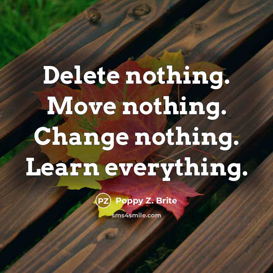“Delete nothing. Move nothing. Change nothing. Learn everything.” quote by Poppy Z. Brite