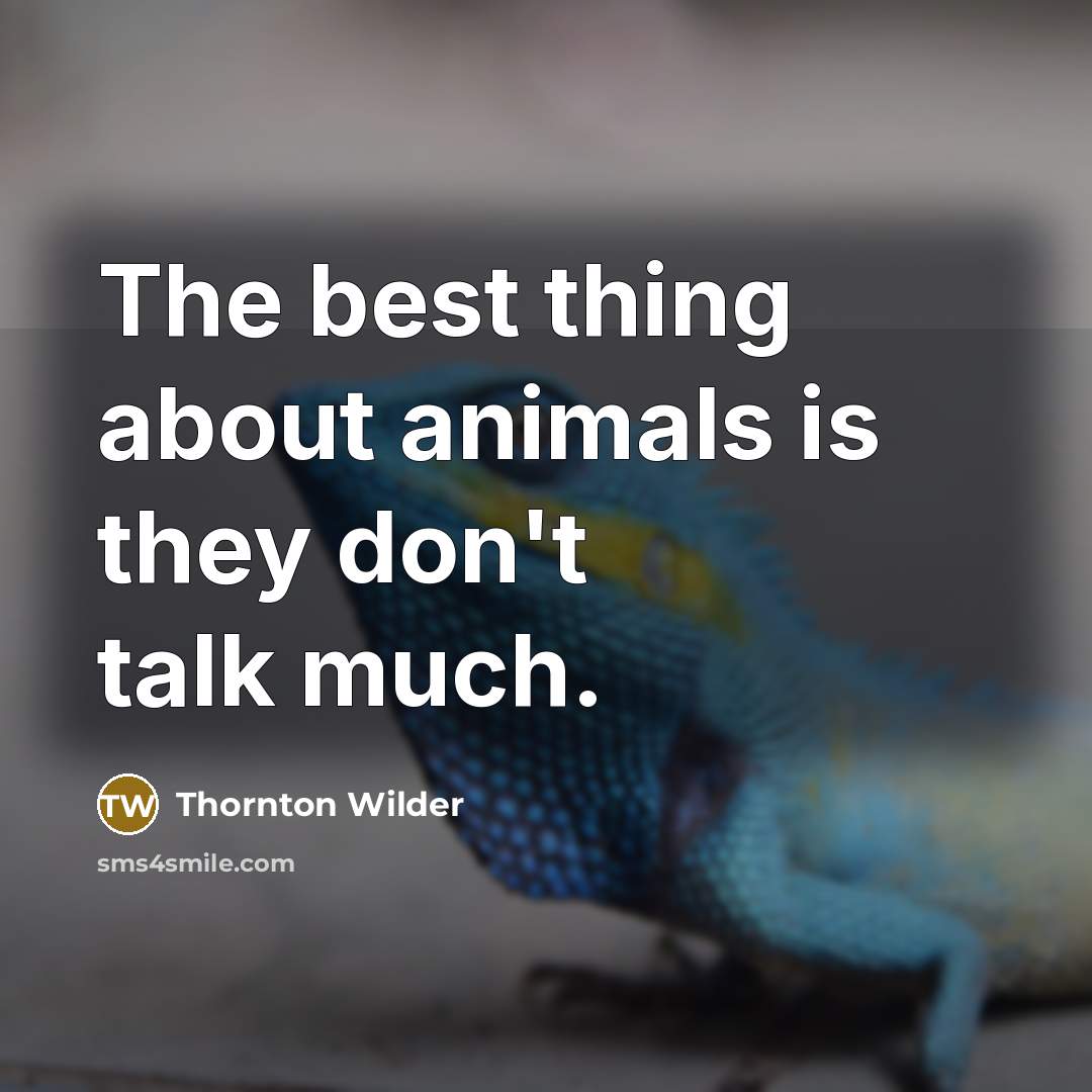 “The best thing about animals is they don't talk much.” quote by Thornton Wilder