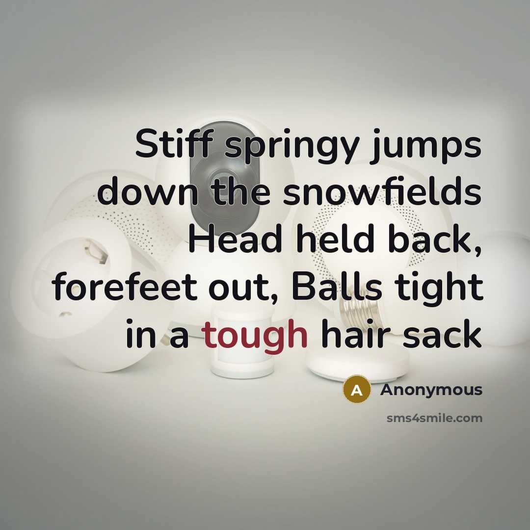 “Stiff springy jumps down the snowfields Head held back, forefeet out, Balls tight in a tough hair sack” quote by Anonymous