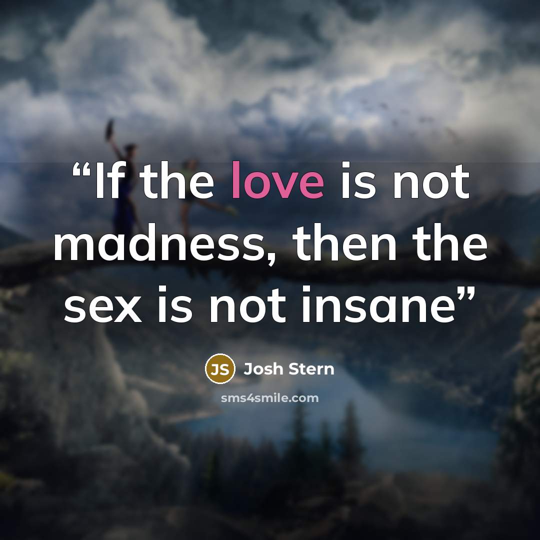 “If the love is not madness, then the sex is not insane” quote by Josh Stern