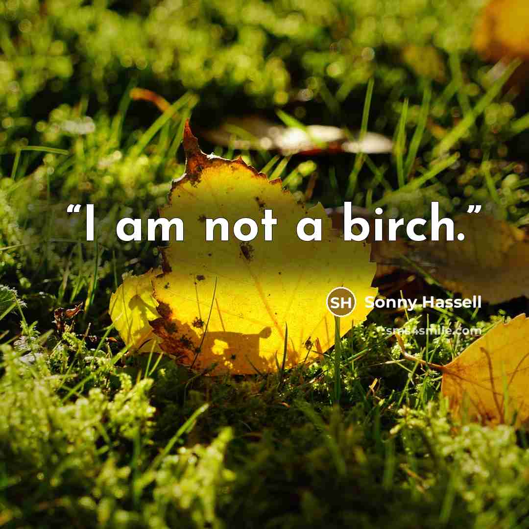 “I am not a birch.” quote by Sonny Hassell