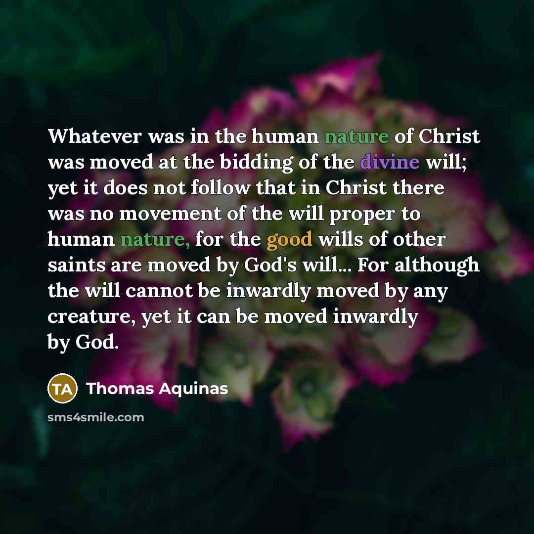 “Whatever was in the human nature of Christ was moved at the bidding of the divine will; yet it does not follow that in Christ there was no movement of the will proper to human nature, for the good wills of other saints are moved by God's will... For although the will cannot be inwardly moved by…” quote by Thomas Aquinas