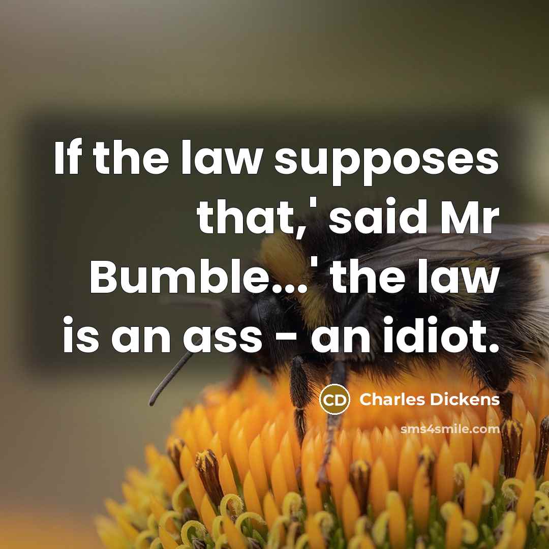 “If the law supposes that,' said Mr Bumble...' the law is an ass - an idiot.” quote by Charles Dickens