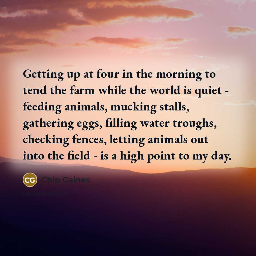 “Getting up at four in the morning to tend the farm while the world is quiet - feeding animals, mucking stalls, gathering eggs, filling water troughs, checking fences, letting animals out into the field - is a high point to my day.” quote by Chip Gaines