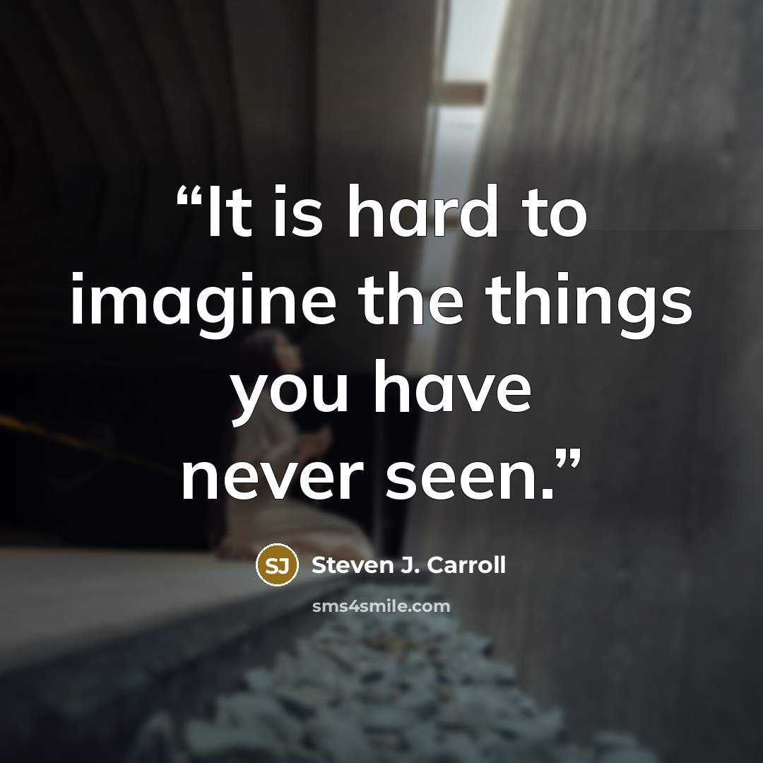 “It is hard to imagine the things you have never seen.” quote by Steven J. Carroll