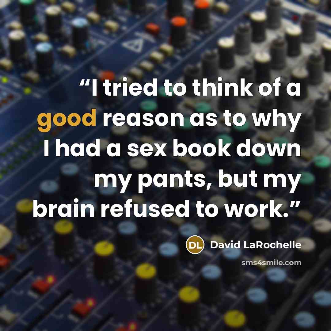 “I tried to think of a good reason as to why I had a sex book down my pants, but my brain refused to work.” quote by David LaRochelle