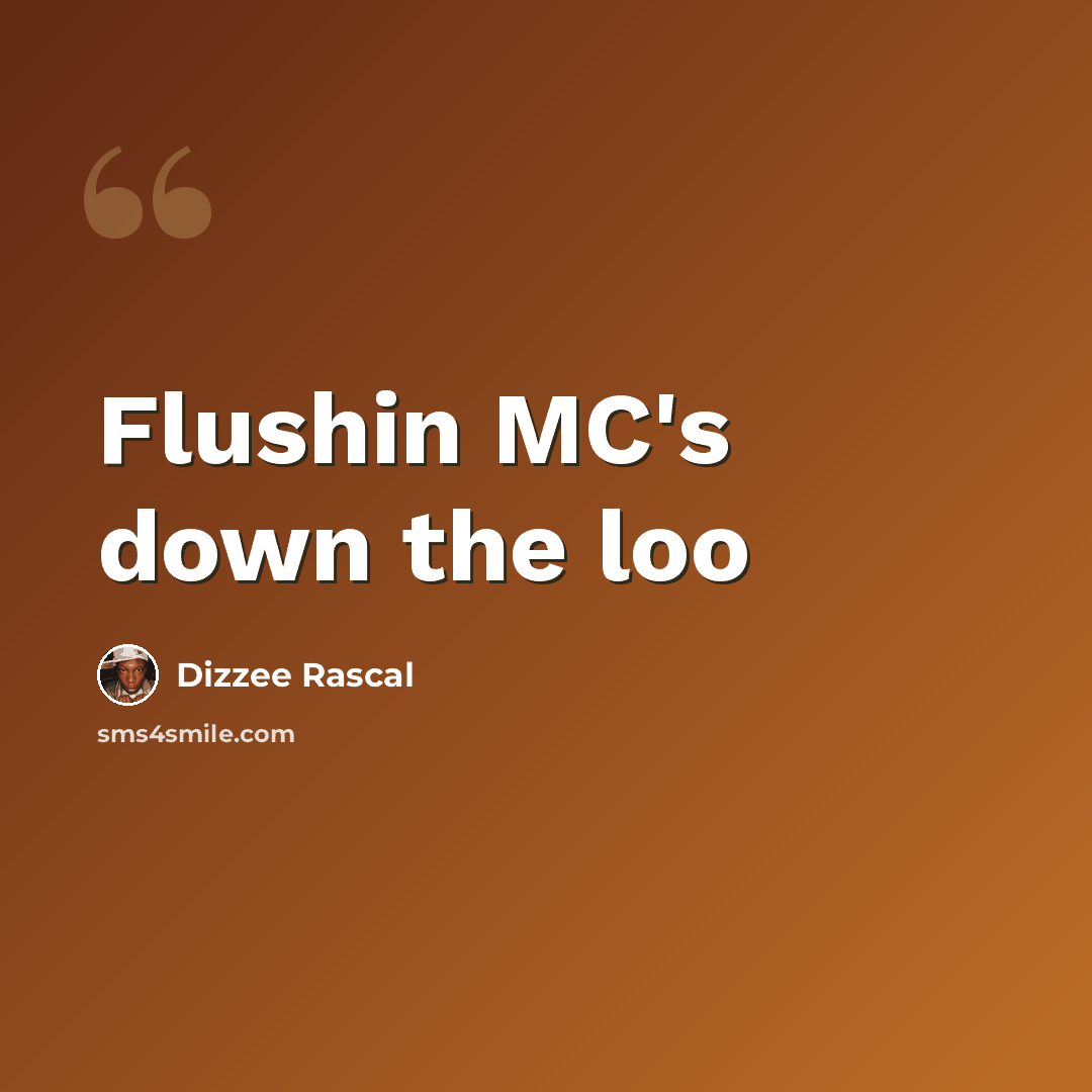 “Flushin MC's down the loo” quote by Dizzee Rascal
