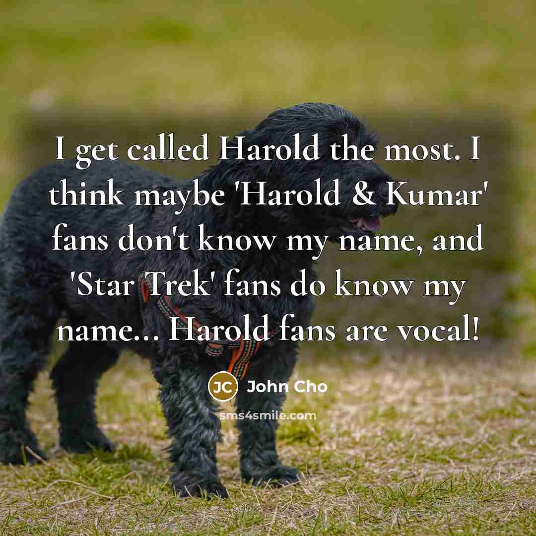 “I get called Harold the most. I think maybe 'Harold & Kumar' fans don't know my name, and 'Star Trek' fans do know my name... Harold fans are vocal!” quote by John Cho