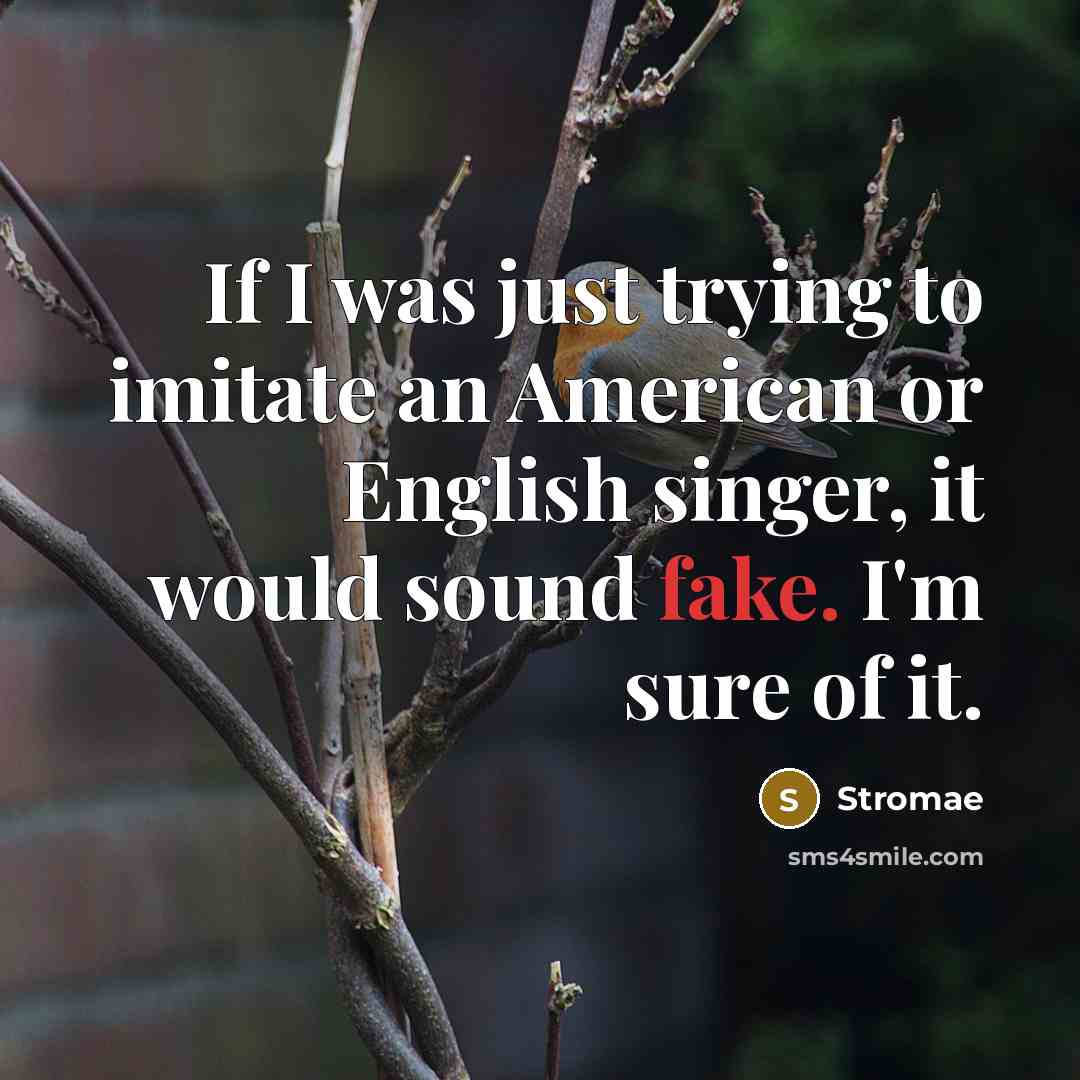 “If I was just trying to imitate an American or English singer, it would sound fake. I'm sure of it.” quote by Stromae