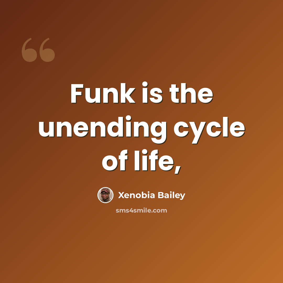 “Funk is the unending cycle of life,” quote by Xenobia Bailey