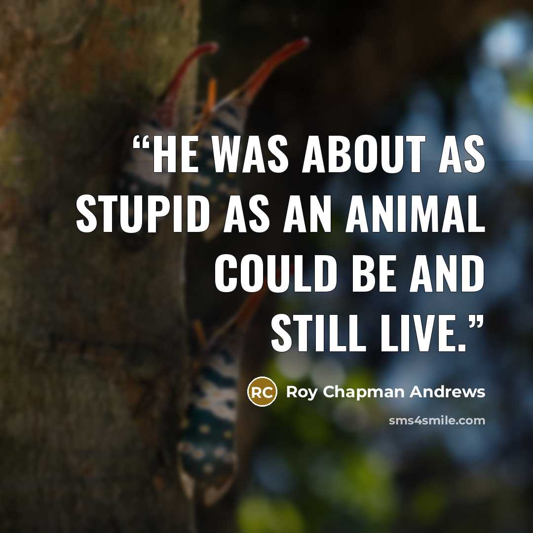 “He was about as stupid as an animal could be and still live.” quote by Roy Chapman Andrews