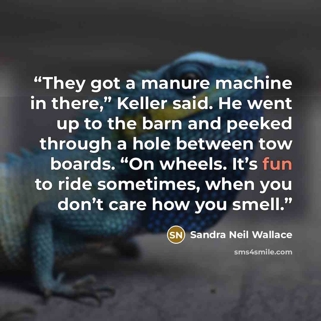 “They got a manure machine in there,” Keller said. He went up to the barn and peeked through a hole between tow boards. “On wheels. It’s fun to ride sometimes, when you don’t care how you smell.” quote by Sandra Neil Wallace