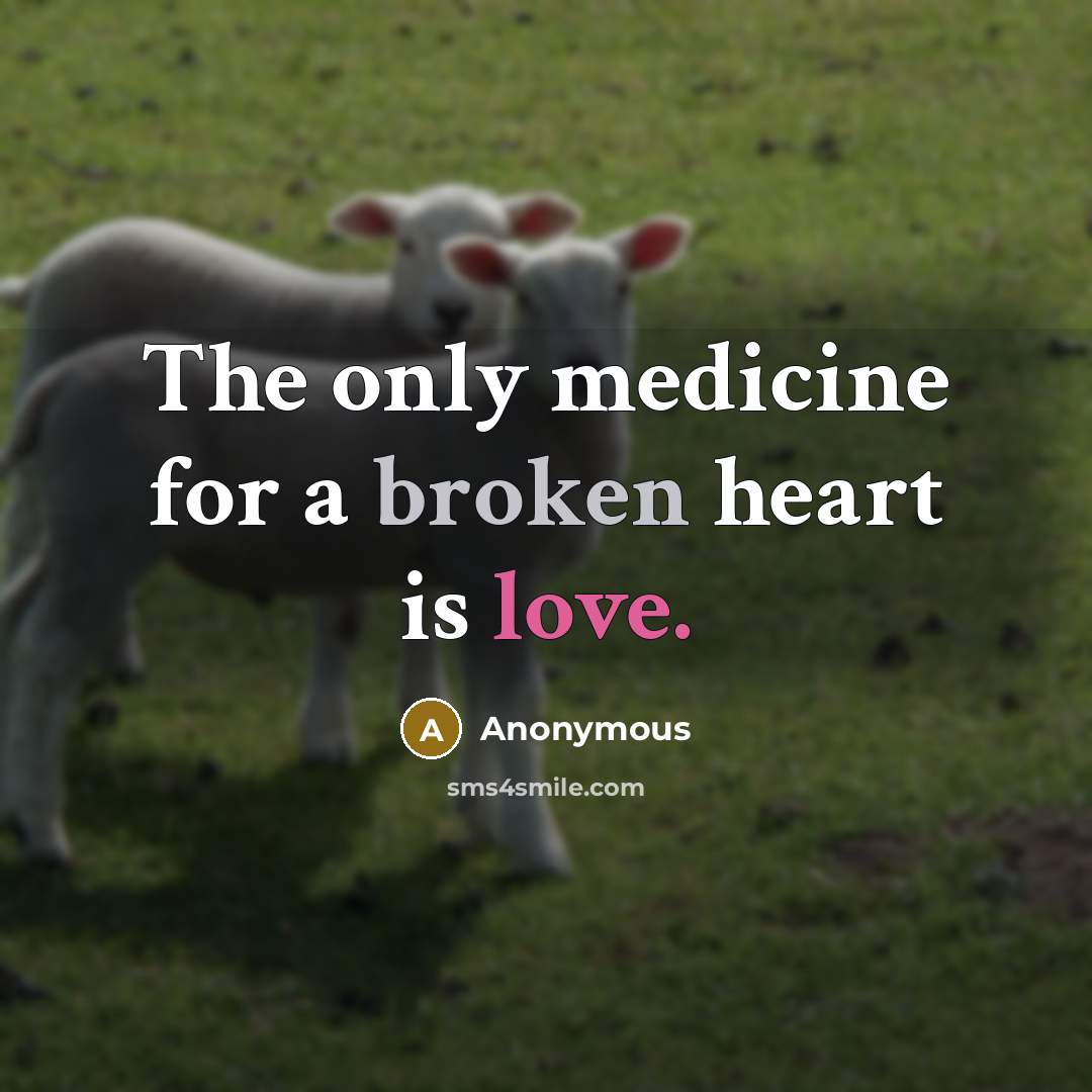 “The only medicine for a broken heart is love.” quote by Anonymous