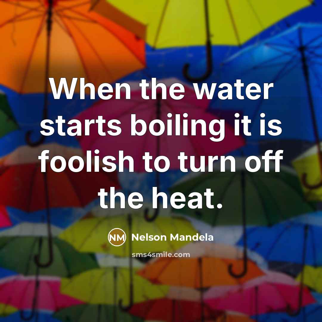 “When the water starts boiling it is foolish to turn off the heat.” quote by Nelson Mandela