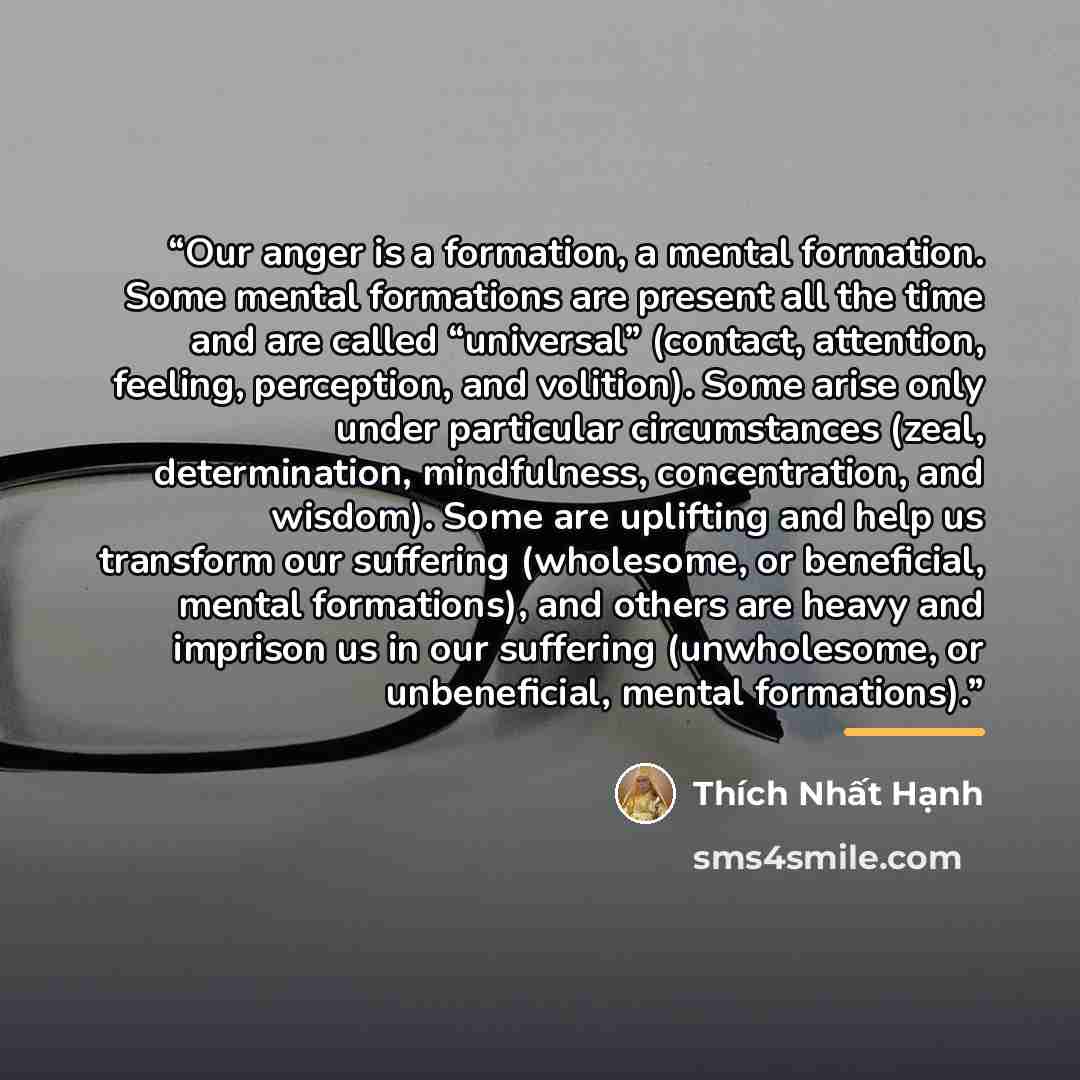 “Our anger is a formation, a mental formation. Some mental formations are present all the time and are called “universal” (contact, attention, feeling, perception, and volition). Some arise only under particular circumstances (zeal, determination, mindfulness, concentration, and wisdom). Some are…” quote by Thich Nhat Hanh
