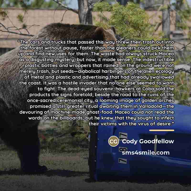 “The cars and trucks that passed this way threw their trash out into the forest without pause, faster than the gleaners could pick them up and find new uses for them. The waste had always struck Maceo as a disgusting mystery, but now, it made sense. The indestructible plastic bottles and wrappers…” quote by Cody Goodfellow