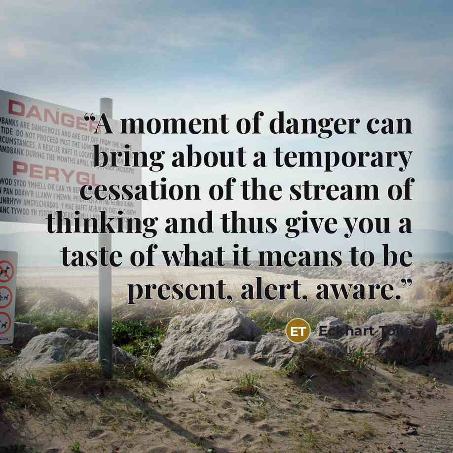 “A moment of danger can bring about a temporary cessation of the stream of thinking and thus give you a taste of what it means to be present, alert, aware.” quote by Eckhart Tolle