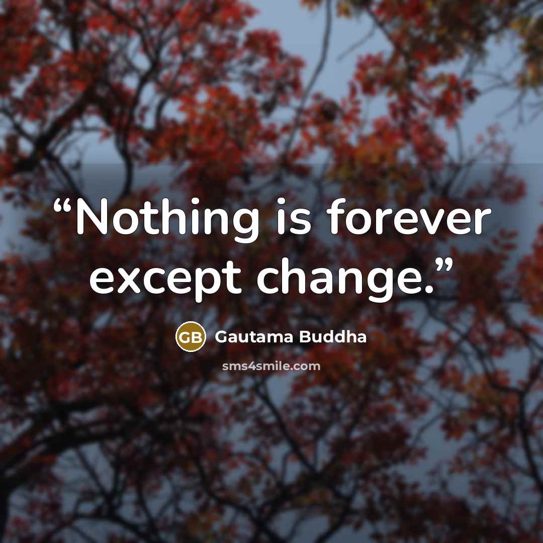 “Nothing is forever except change.” quote by Gautama Buddha