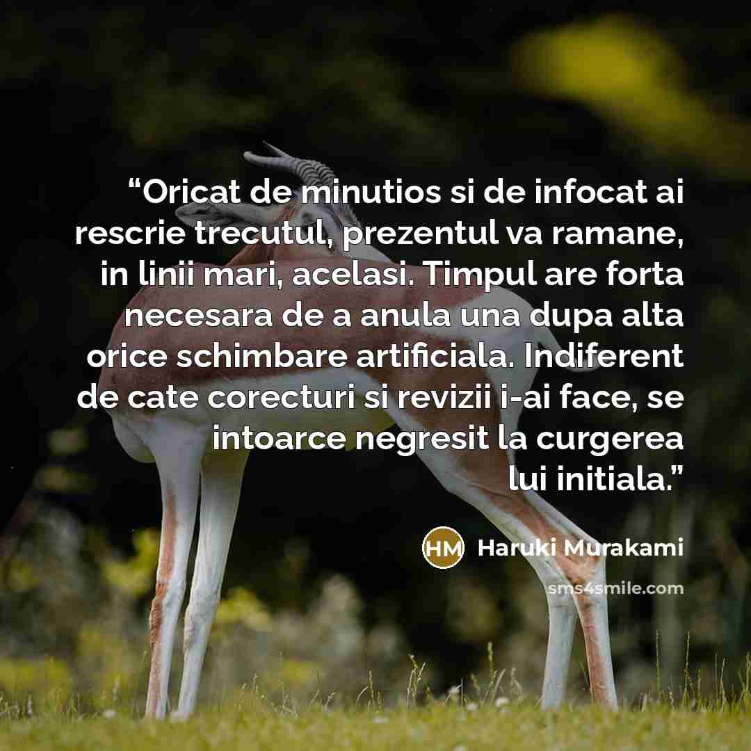 “Oricat de minutios si de infocat ai rescrie trecutul, prezentul va ramane, in linii mari, acelasi. Timpul are forta necesara de a anula una dupa alta orice schimbare artificiala. Indiferent de cate corecturi si revizii i-ai face, se intoarce negresit la curgerea lui initiala.” quote by Haruki Murakami
