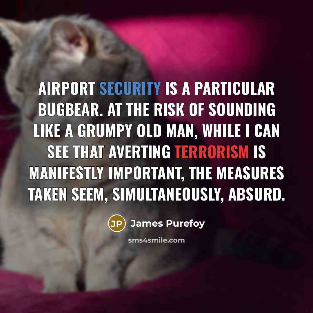 “Airport security is a particular bugbear. At the risk of sounding like a grumpy old man, while I can see that averting terrorism is manifestly important, the measures taken seem, simultaneously, absurd.” quote by James Purefoy