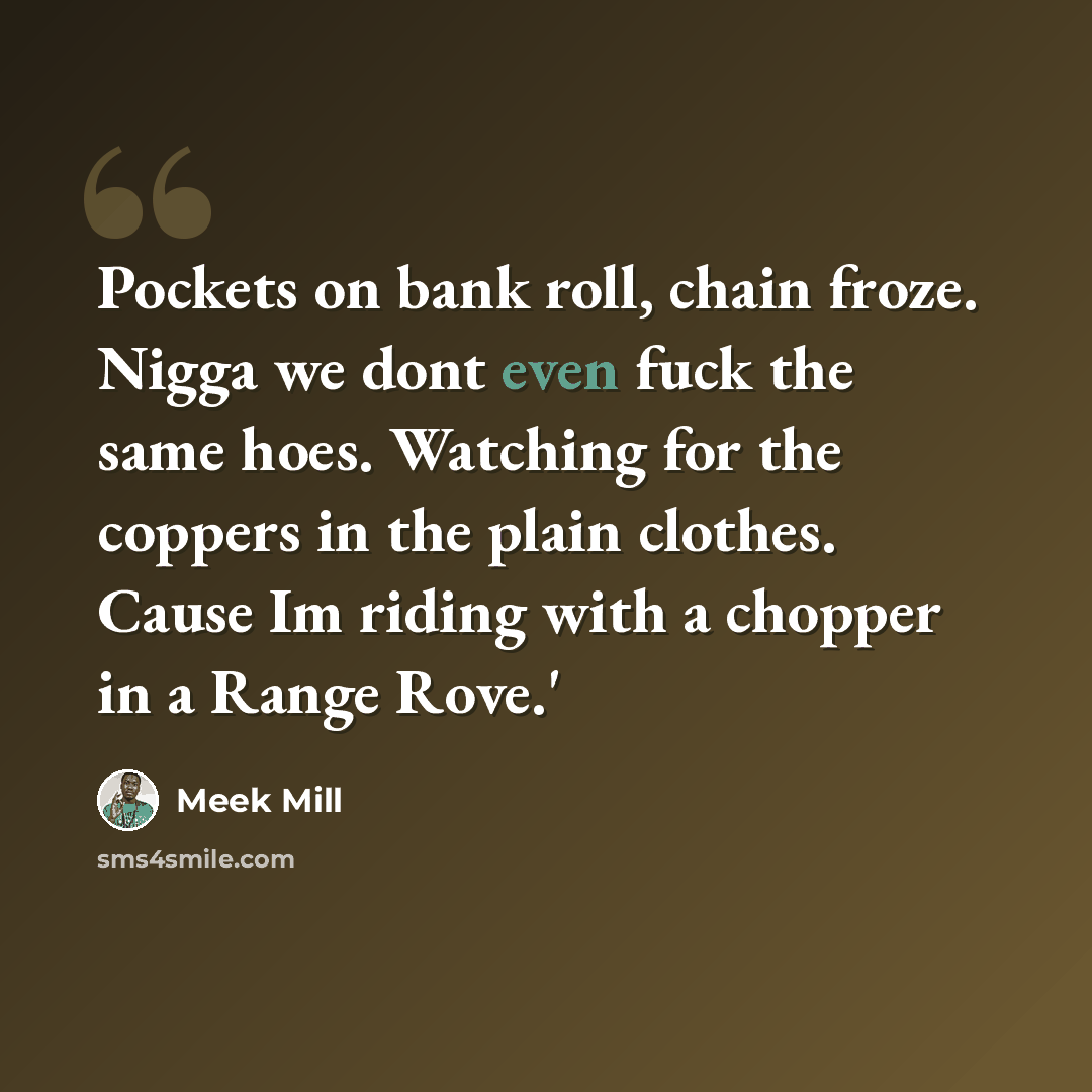 “Pockets on bank roll, chain froze. Nigga we dont even fuck the same hoes. Watching for the coppers in the plain clothes. Cause Im riding with a chopper in a Range Rove.'” quote by Meek Mill