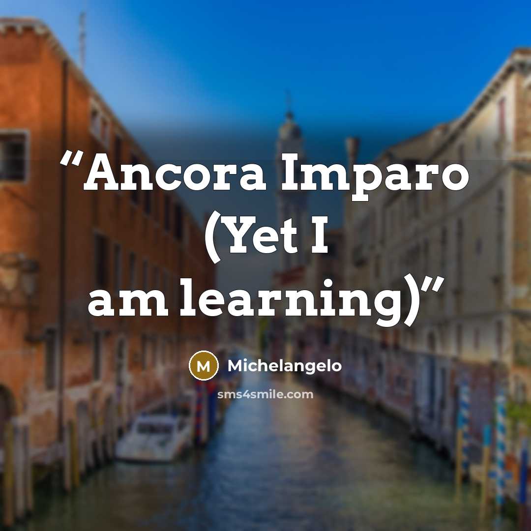 “Ancora Imparo (Yet I am learning)” quote by Michelangelo