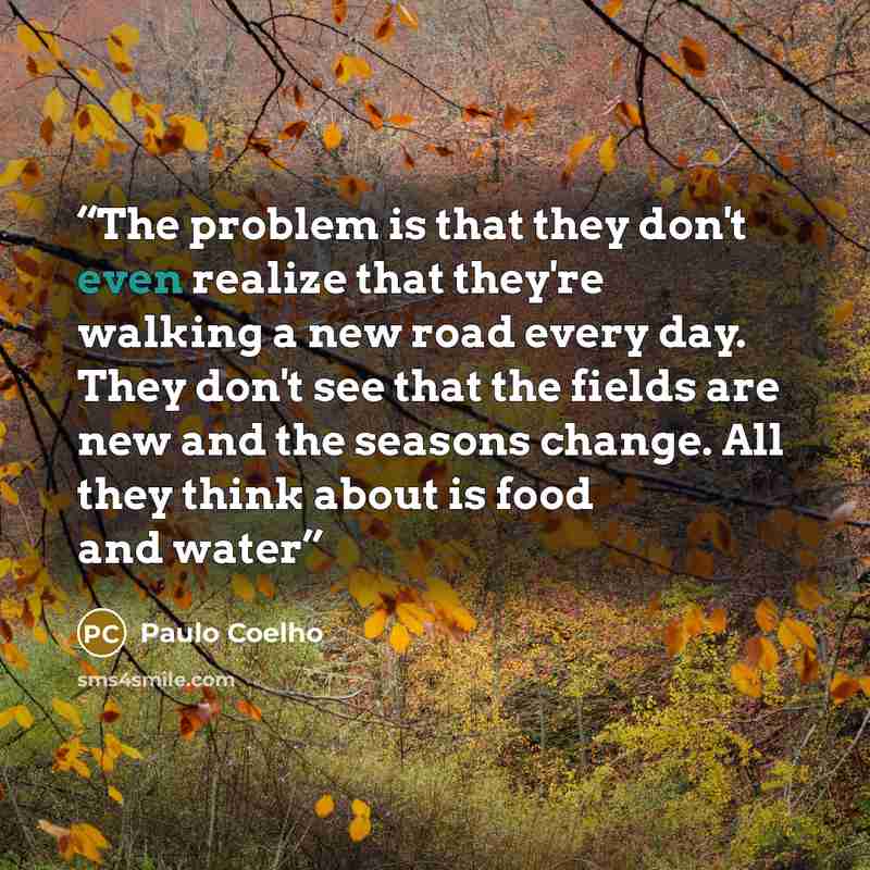 “The problem is that they don't even realize that they're walking a new road every day. They don't see that the fields are new and the seasons change. All they think about is food and water” quote by Paulo Coelho