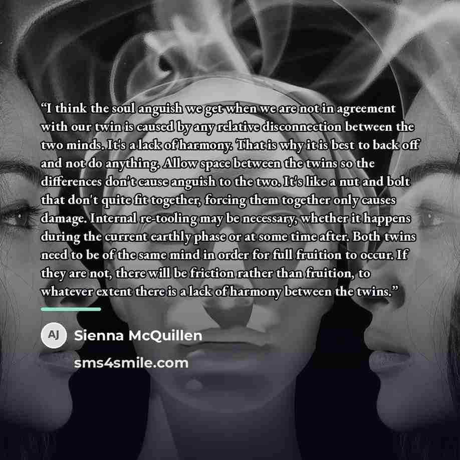 “I think the soul anguish we get when we are not in agreement with our twin is caused by any relative disconnection between the two minds. It's a lack of harmony. That is why it is best to back off and not do anything. Allow space between the twins so the differences don't cause anguish to the two…” quote by Sienna McQuillen