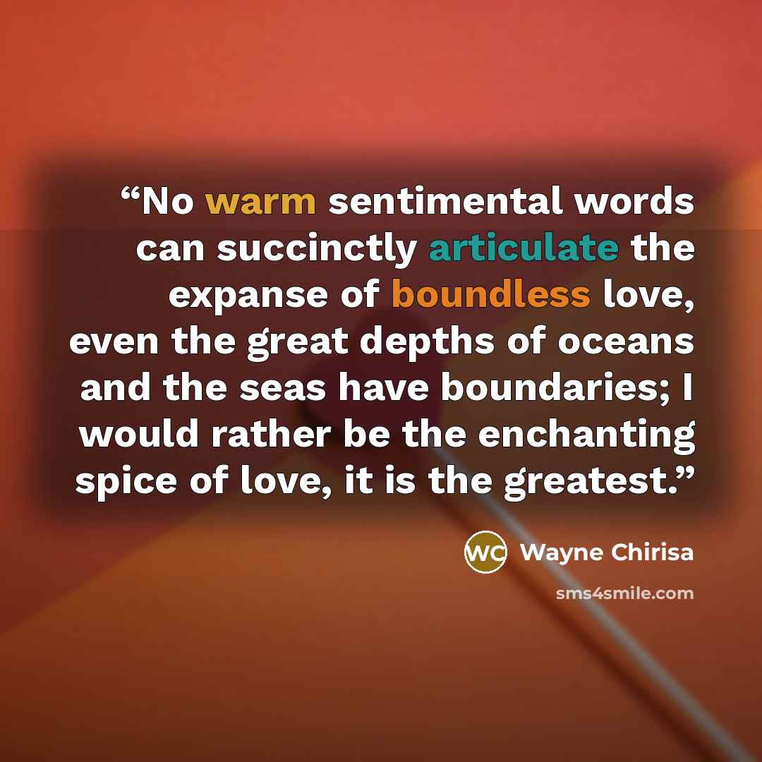 “No warm sentimental words can succinctly articulate the expanse of boundless love, even the great depths of oceans and the seas have boundaries; I would rather be the enchanting spice of love, it is the greatest.” quote by Wayne Chirisa