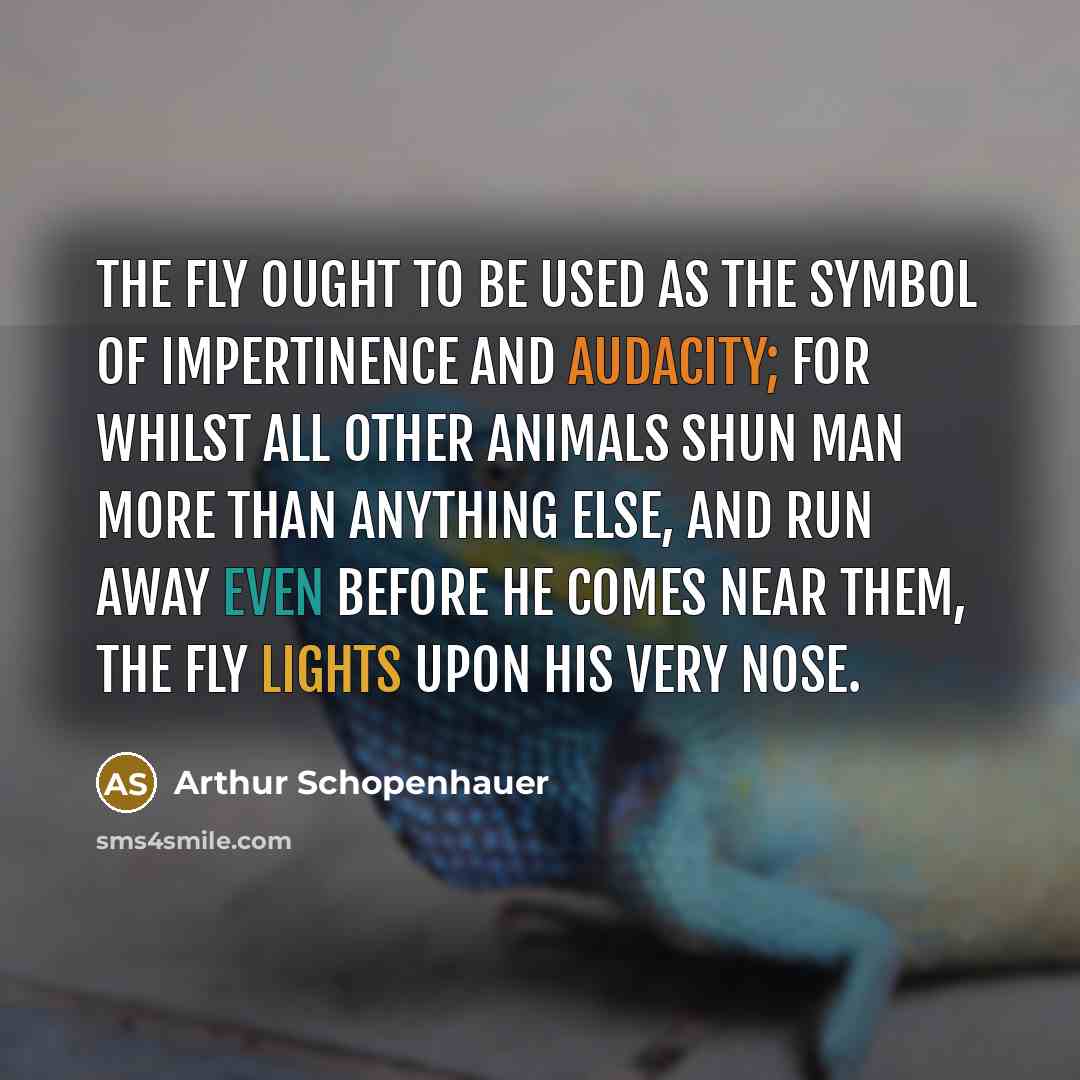 “The fly ought to be used as the symbol of impertinence and audacity; for whilst all other animals shun man more than anything else, and run away even before he comes near them, the fly lights upon his very nose.” quote by Arthur Schopenhauer