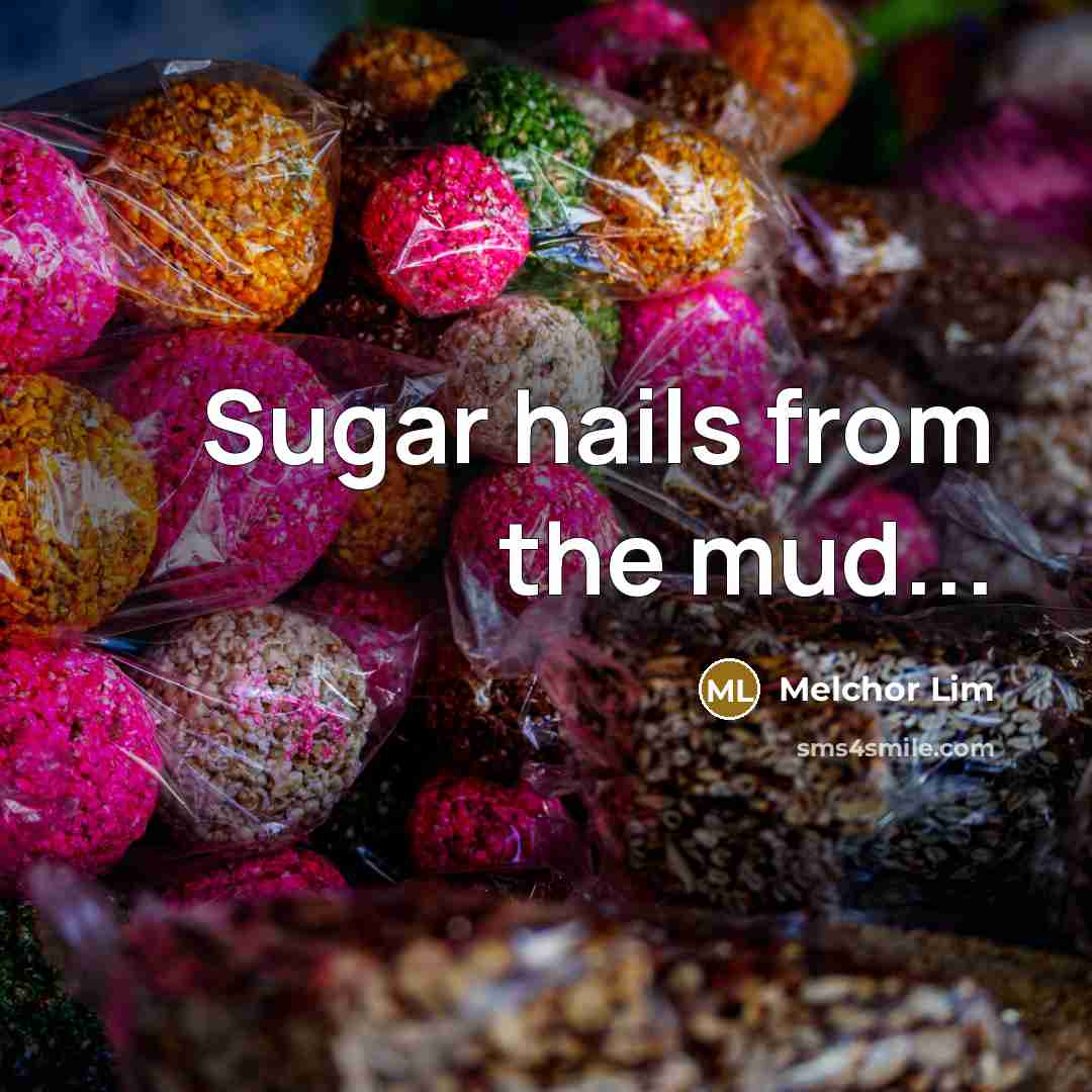 “Sugar hails from the mud...” quote by Melchor Lim