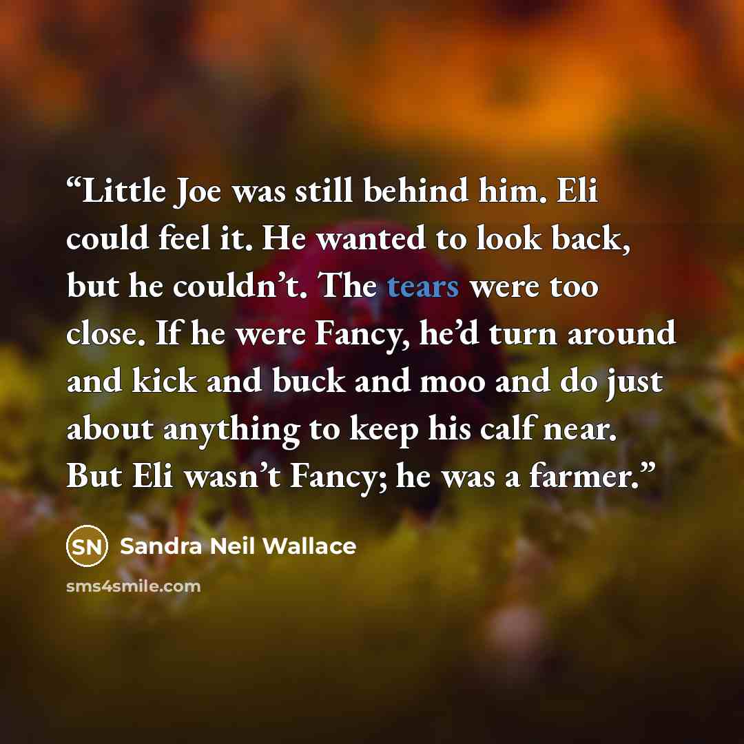“Little Joe was still behind him. Eli could feel it. He wanted to look back, but he couldn’t. The tears were too close. If he were Fancy, he’d turn around and kick and buck and moo and do just about anything to keep his calf near. But Eli wasn’t Fancy; he was a farmer.” quote by Sandra Neil Wallace