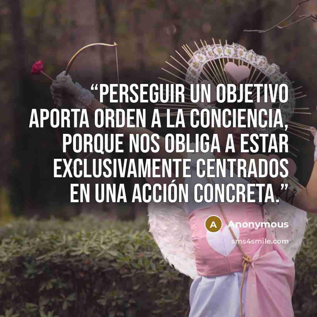 “Perseguir un objetivo aporta orden a la conciencia, porque nos obliga a estar exclusivamente centrados en una acción concreta.” quote by Anonymous