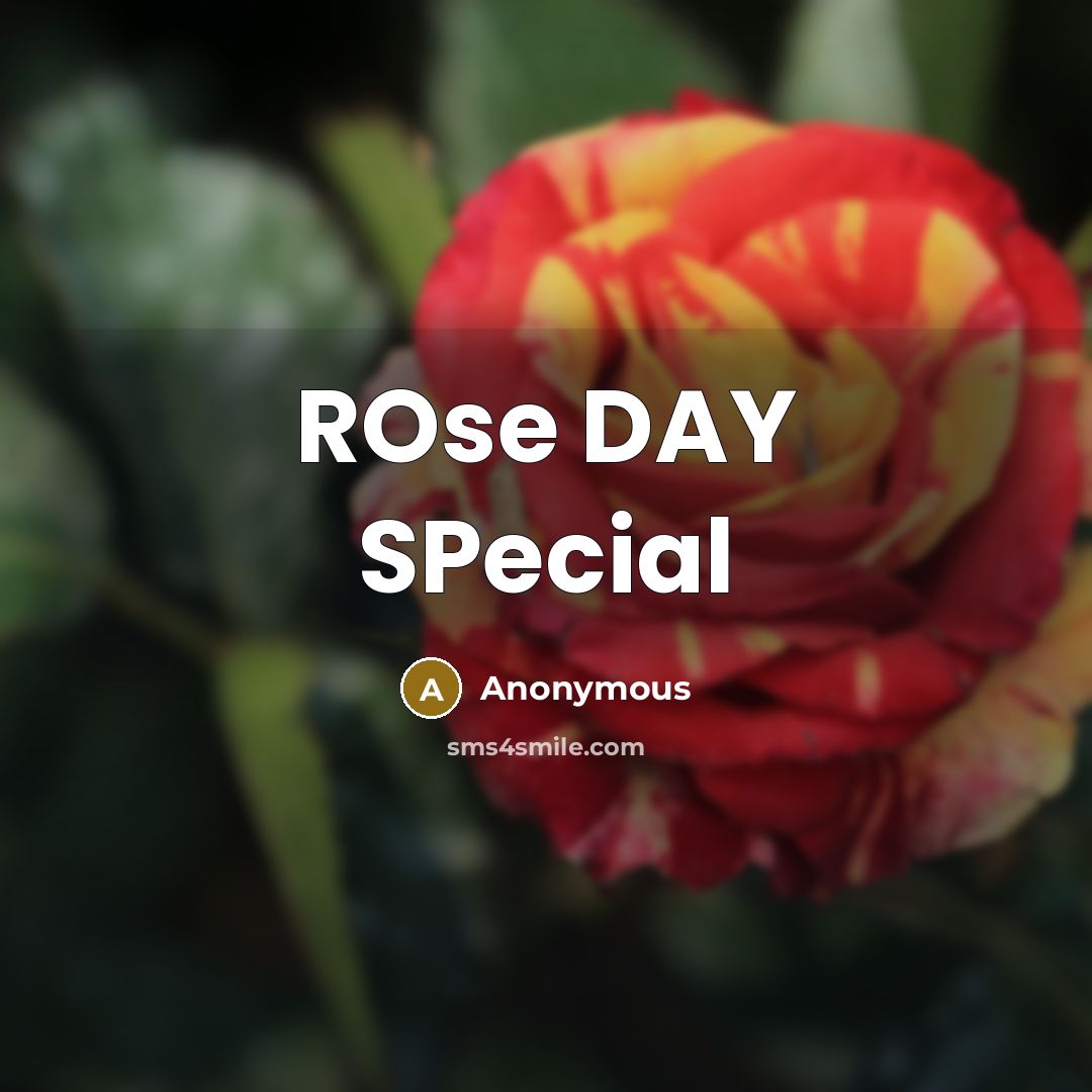 “ROse DAY SPecial” quote by Anonymous