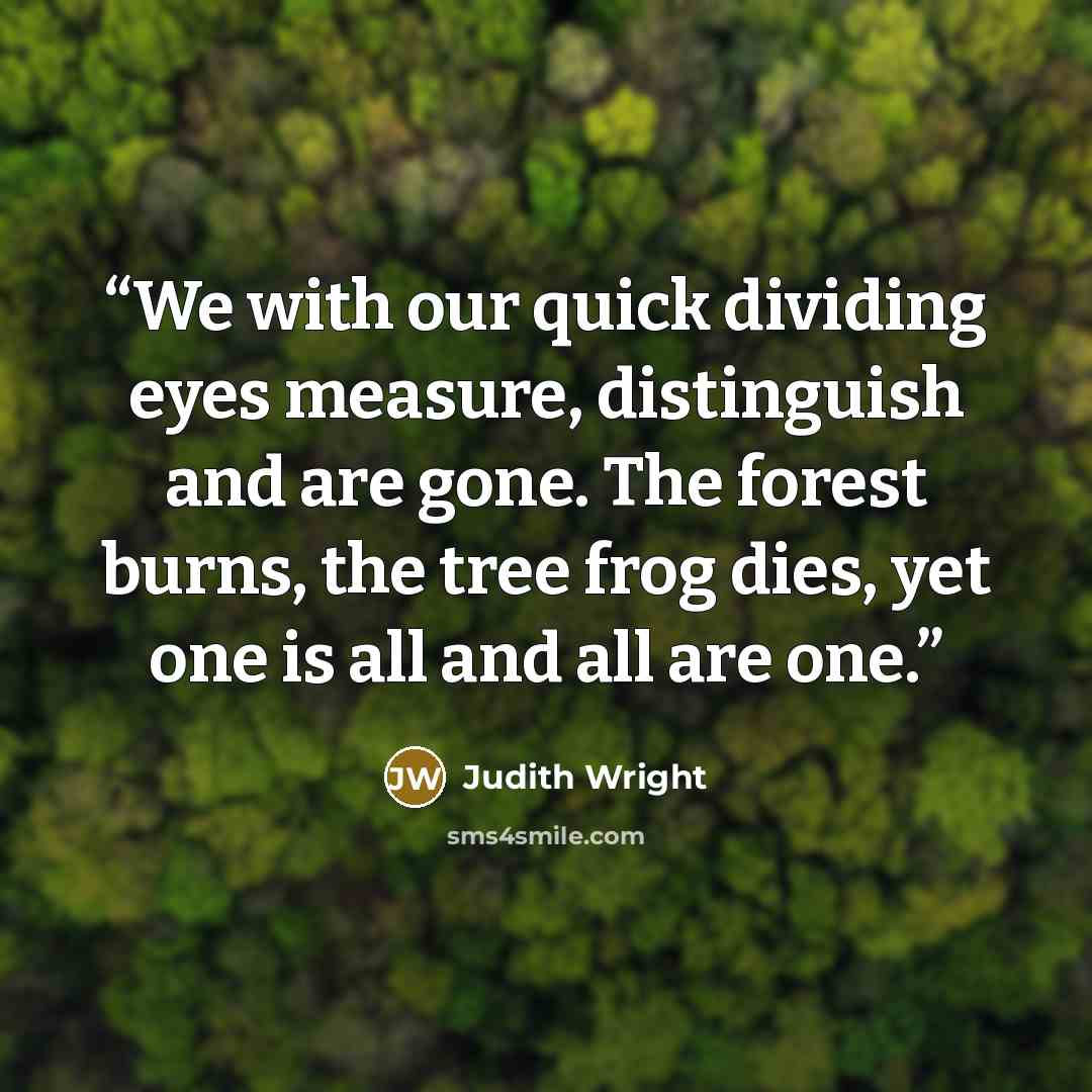 “We with our quick dividing eyes measure, distinguish and are gone. The forest burns, the tree frog dies, yet one is all and all are one.” quote by Judith Wright