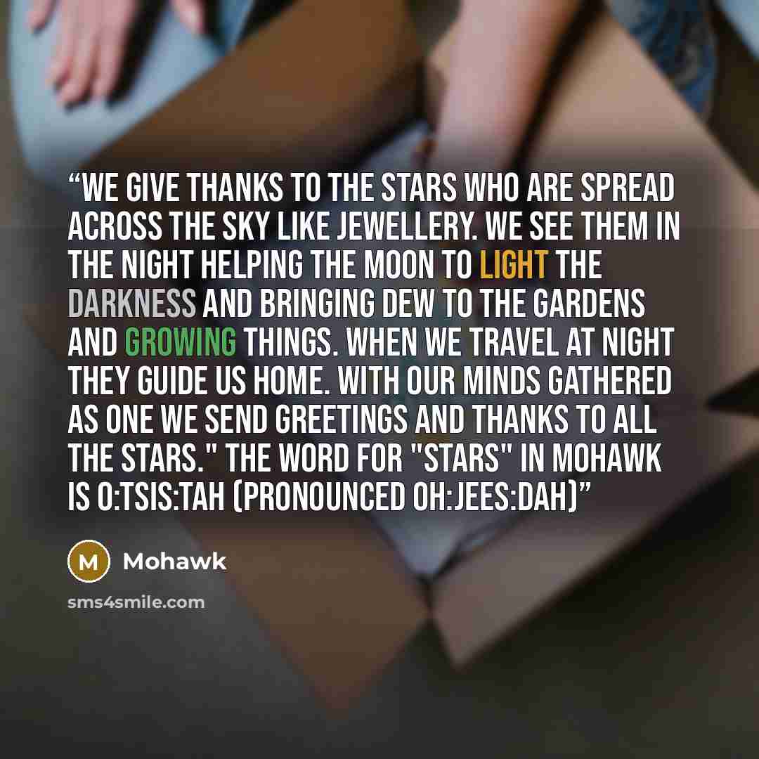 “We give thanks to the Stars who are spread across the sky like jewellery. We see them in the night helping the Moon to light the darkness and bringing dew to the gardens and growing things. When we travel at night they guide us home. With our minds gathered as one we send greetings and thanks to…” quote by Mohawk