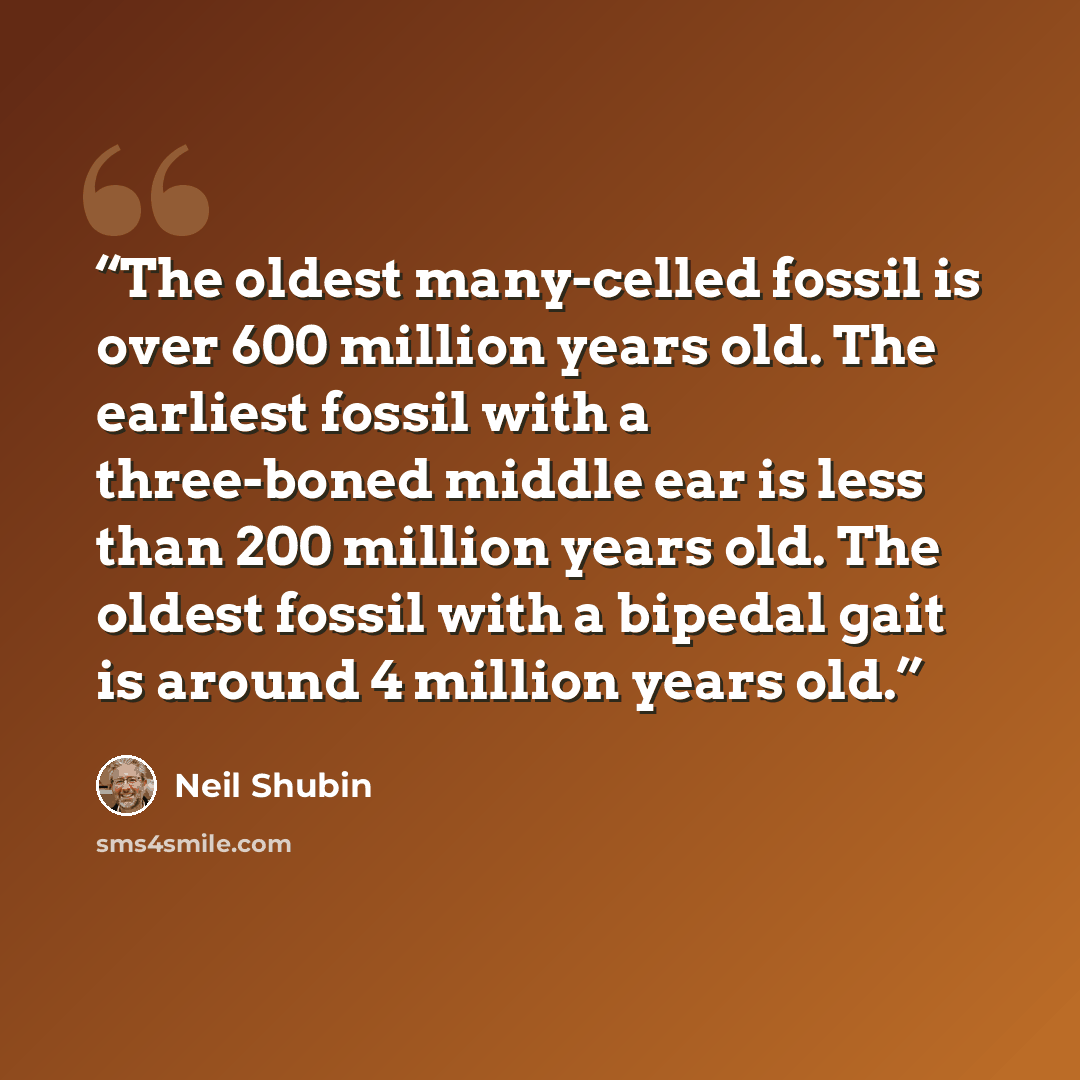 “The oldest many-celled fossil is over 600 million years old. The earliest fossil with a three-boned middle ear is less than 200 million years old. The oldest fossil with a bipedal gait is around 4 million years old.” quote by Neil Shubin