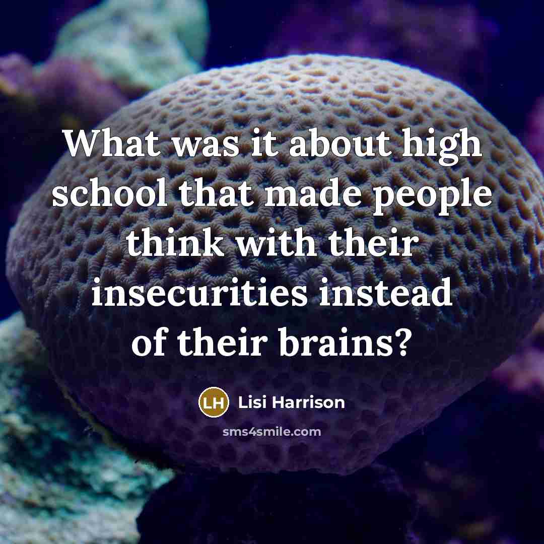 “What was it about high school that made people think with their insecurities instead of their brains?” quote by Lisi Harrison