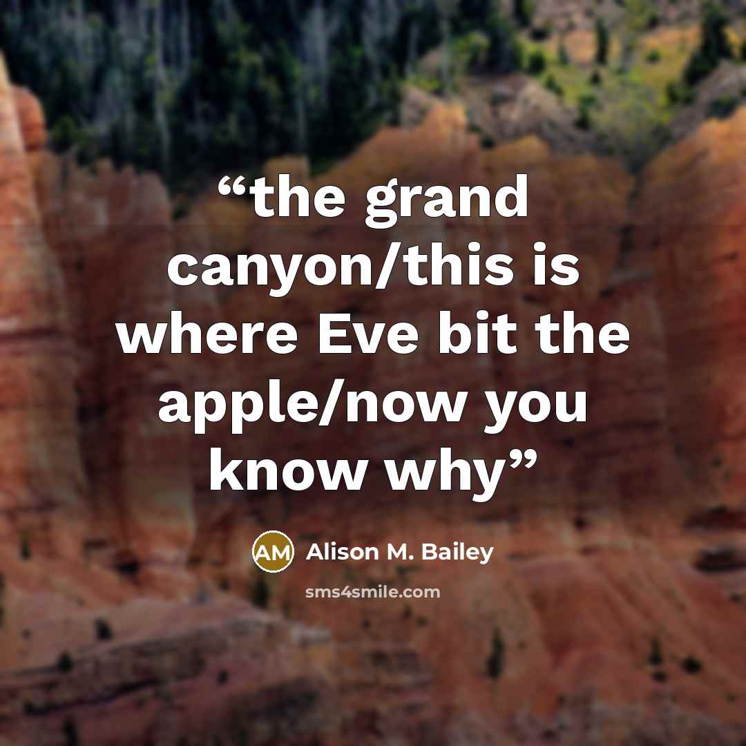 “the grand canyon/this is where Eve bit the apple/now you know why” quote by Alison M. Bailey
