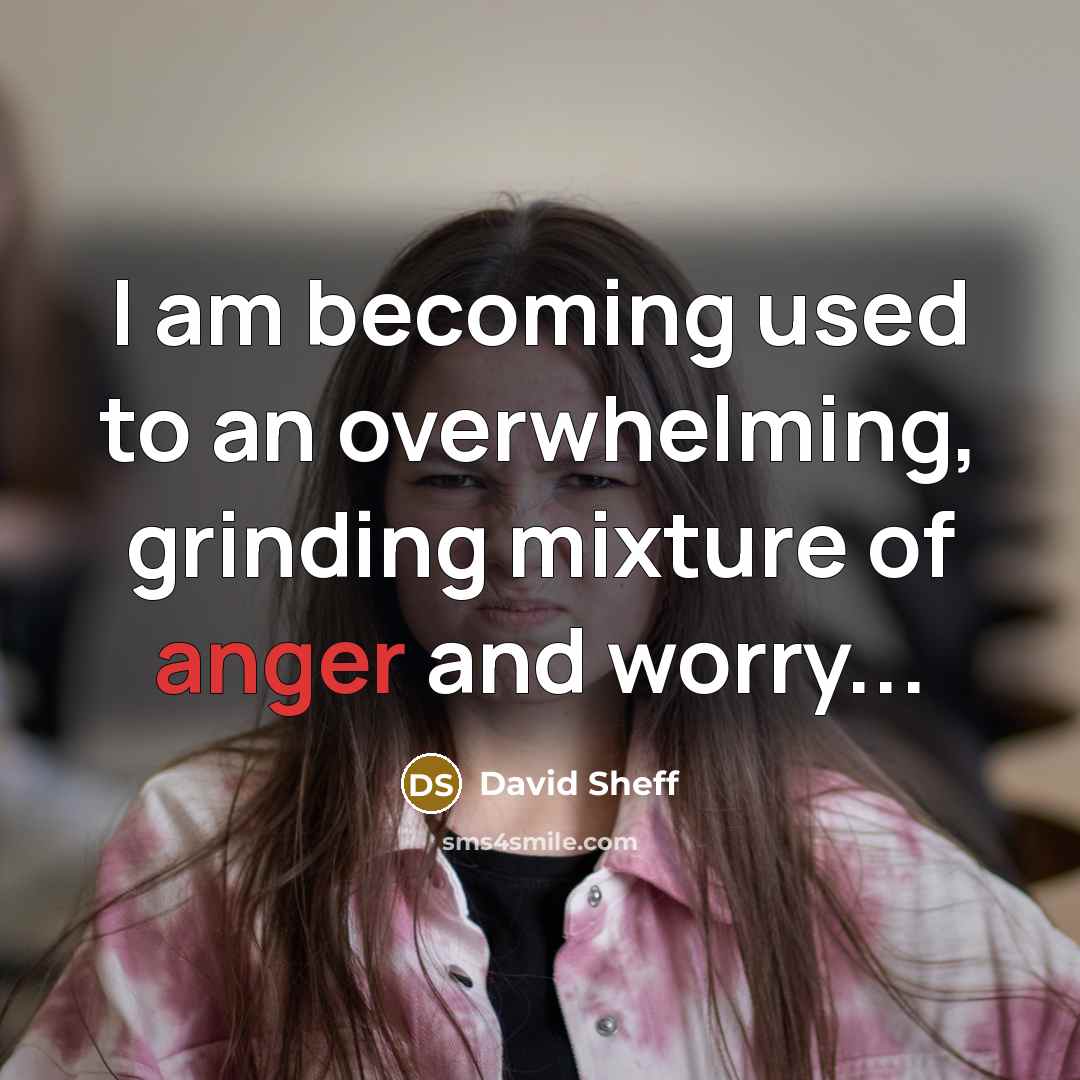 “I am becoming used to an overwhelming, grinding mixture of anger and worry...” quote by David Sheff