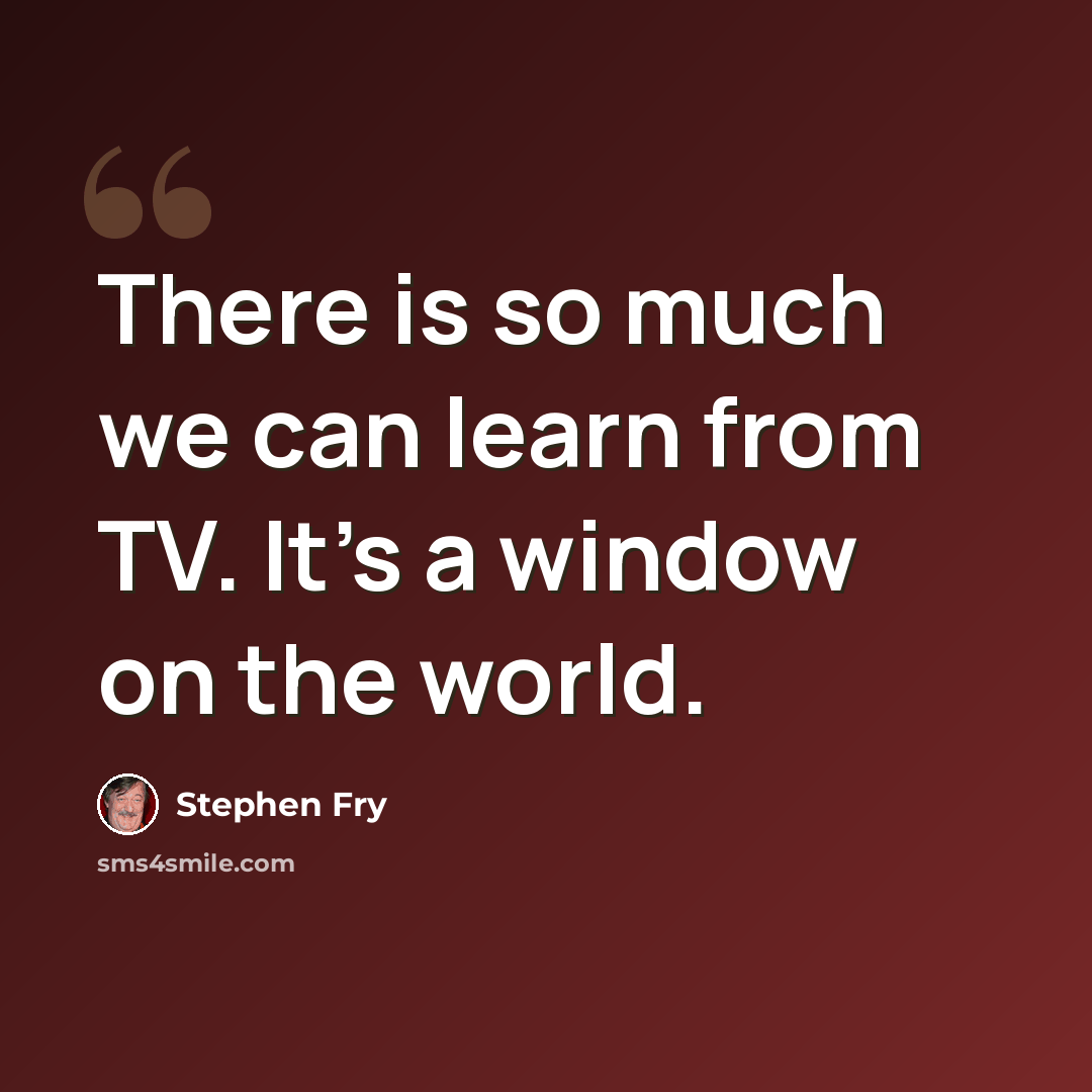 “There is so much we can learn from TV. It's a window on the world.” quote by Stephen Fry