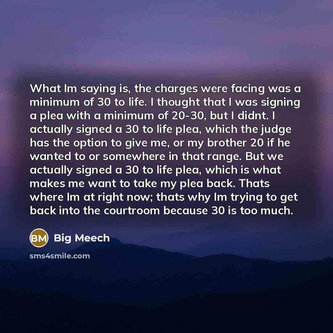 “What Im saying is, the charges were facing was a minimum of 30 to life. I thought that I was signing a plea with a minimum of 20-30, but I didnt. I actually signed a 30 to life plea, which the judge has the option to give me, or my brother 20 if he wanted to or somewhere in that range. But we…” quote by Big Meech