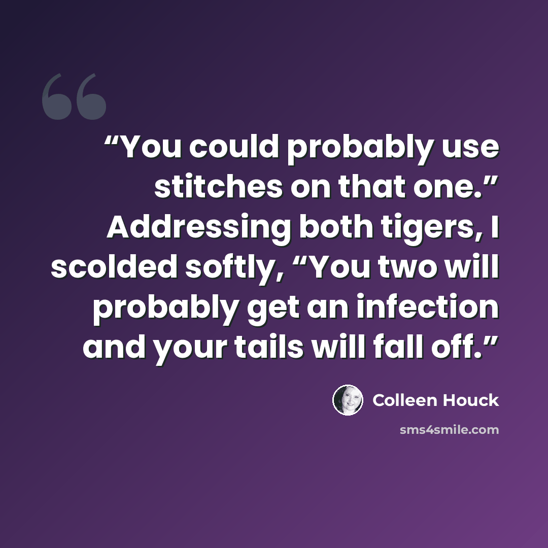 “You could probably use stitches on that one.” Addressing both tigers, I scolded softly, “You two will probably get an infection and your tails will fall off.” quote by Colleen Houck